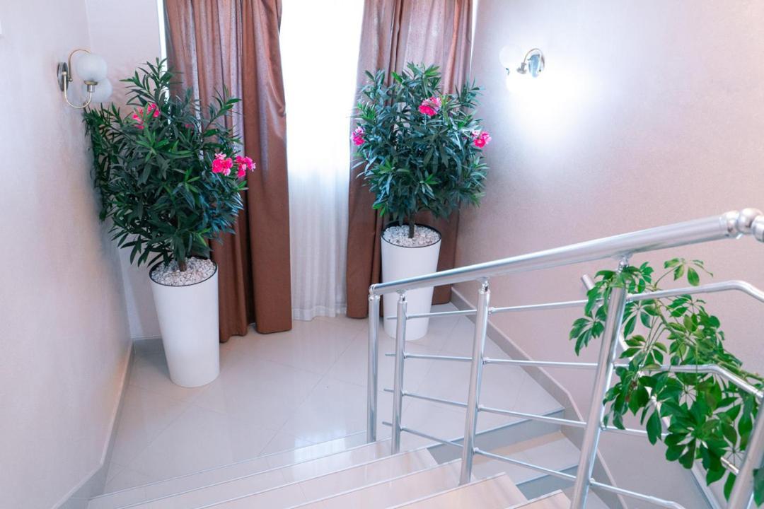 Hotel Zeleni Vir Ni Εξωτερικό φωτογραφία
